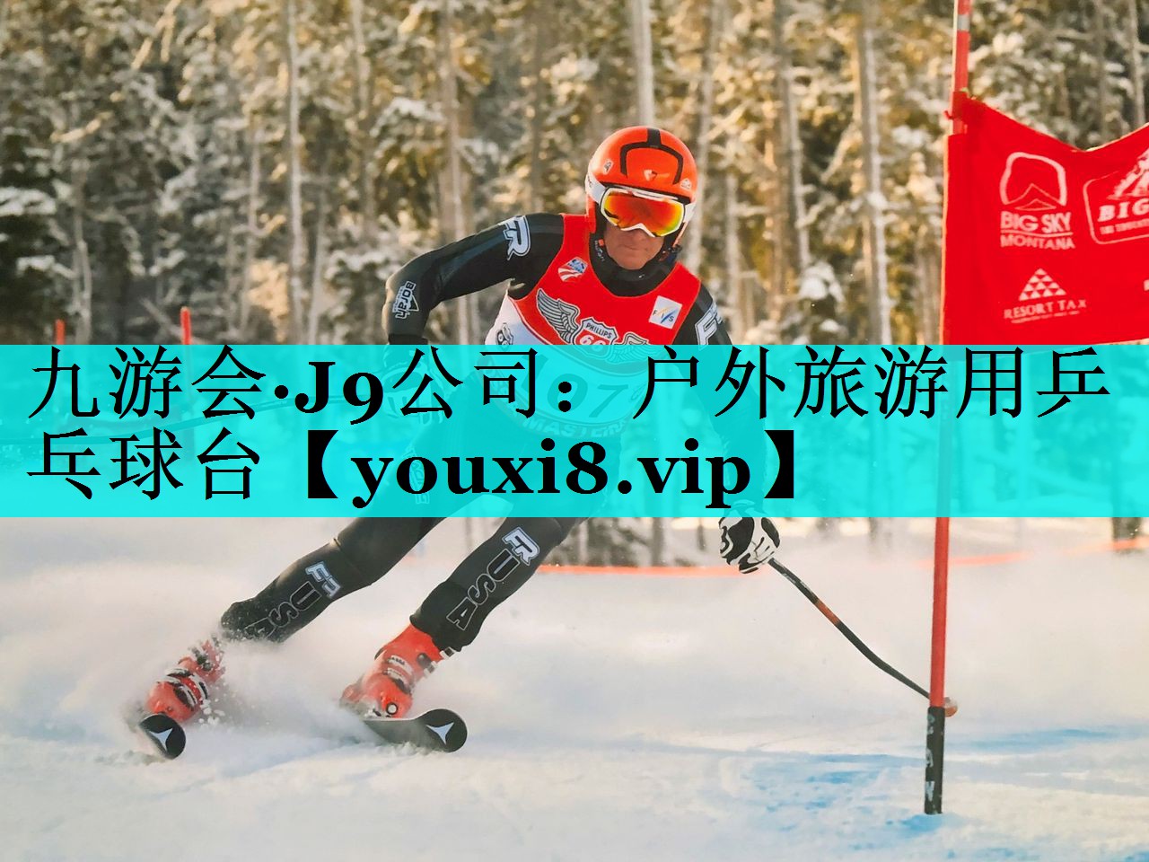 户外旅游用乒乓球台